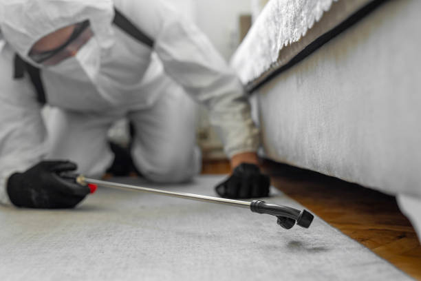 Professional Bed Bug Control technician working in Claiborne, LA