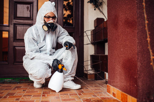 Reliable Bed Bug Control contractor in Claiborne, LA by Nex Pest Control